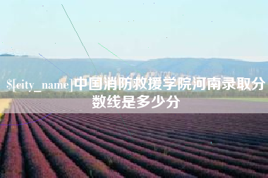 和县中国消防救援学院河南录取分数线是多少分