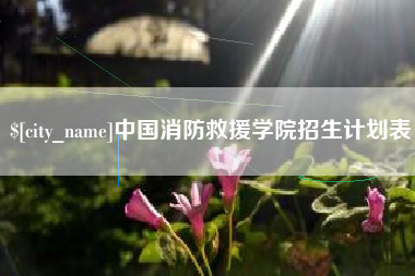 和县中国消防救援学院招生计划表