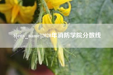 和县2020年消防学院分数线