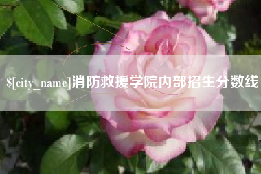 和县消防救援学院内部招生分数线