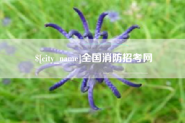 和县全国消防招考网