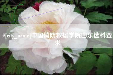 和县中国消防救援学院山东选科要求