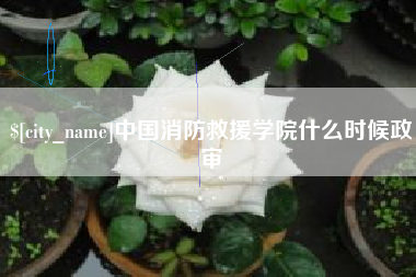 和县中国消防救援学院什么时候政审