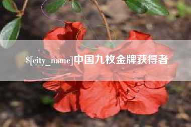 和县中国九枚金牌获得者