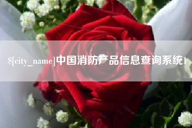 和县中国消防产品信息查询系统1