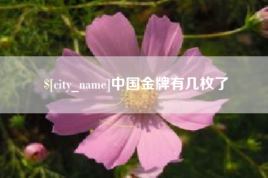 和县中国金牌有几枚了