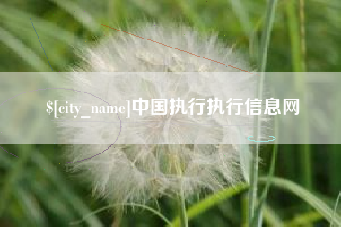 和县中国执行执行信息网