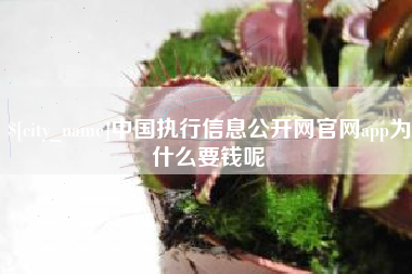 和县中国执行信息公开网官网app为什么要钱呢