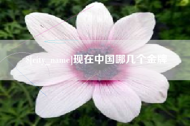 和县现在中国哪几个金牌