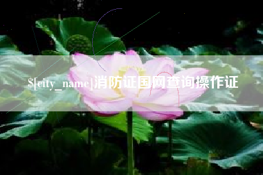 和县消防证国网查询操作证