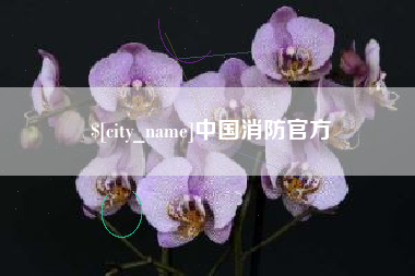 和县中国消防官方