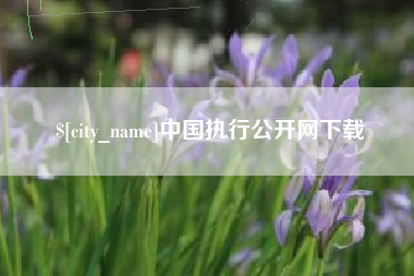 和县中国执行公开网下载