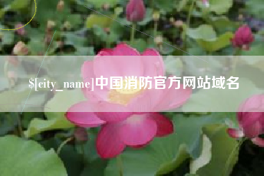和县中国消防官方网站域名