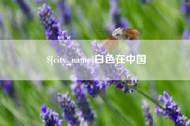 和县白色在中国