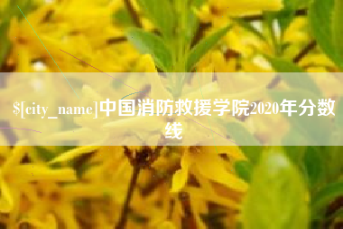 和县中国消防救援学院2020年分数线