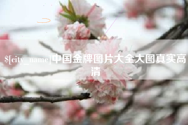 和县中国金牌图片大全大图真实高清
