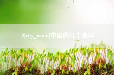 和县中国的几个金牌