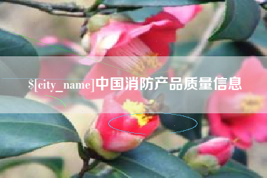 和县中国消防产品质量信息