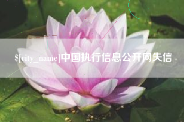 和县中国执行信息公开网失信