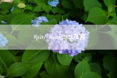 和县2022九宫