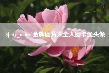 和县金牌图片大全大图卡通头像