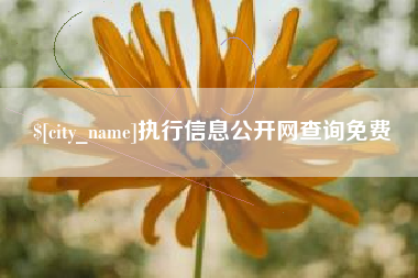 和县执行信息公开网查询免费