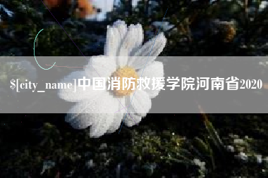 和县中国消防救援学院河南省2020